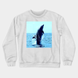 Cute Dolphin Crewneck Sweatshirt